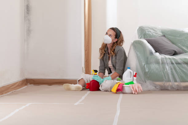Reliable Black Mold Removal contractor in Brinklow, MD by WQB Mold Removal